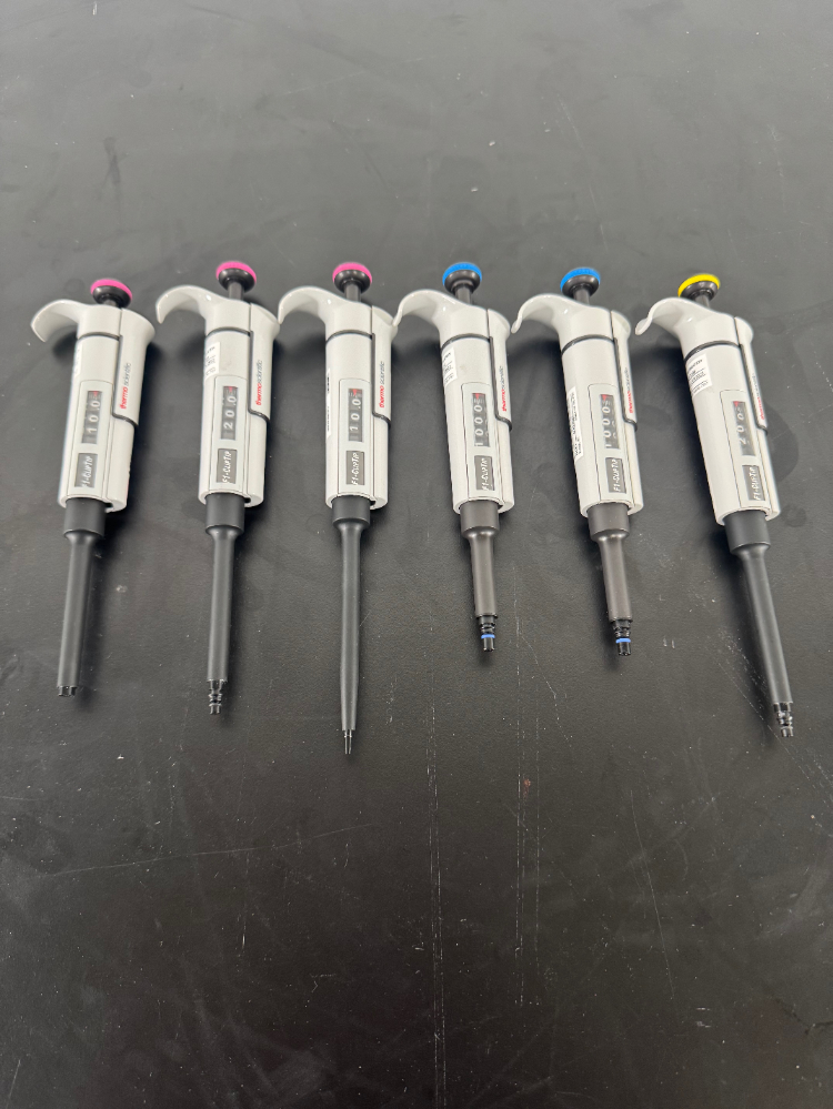 Image of Thermo F1-ClipTip Single Channel Pipettes - Quantity 6